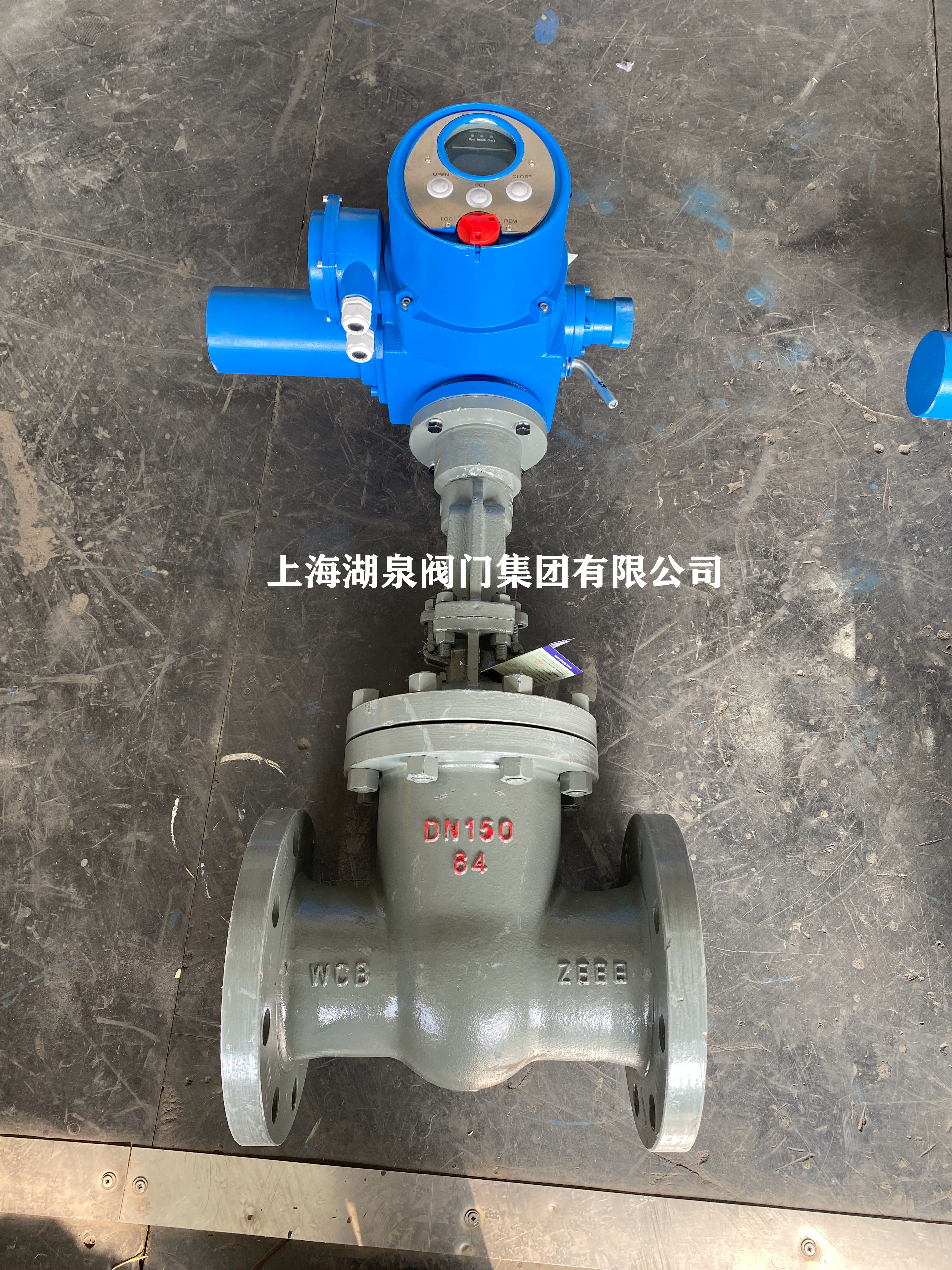 智能電動(dòng)閘閥